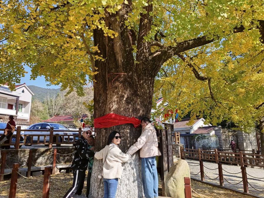 1763687411163921Nbkz.jpg 4.jpg