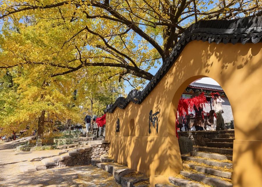 1763687631269649LVRo.jpg 圖片8.jpg